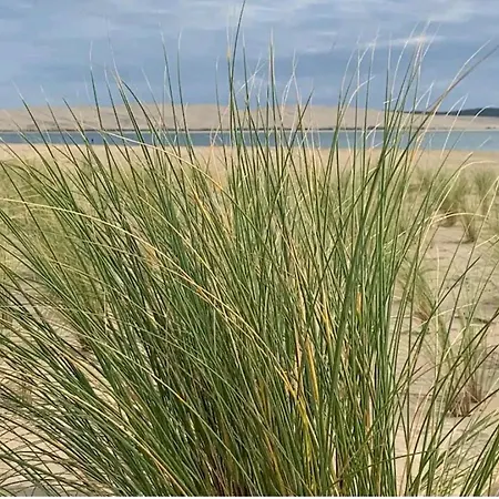 Cap Ferret Arcachon Mobil Trois Une Salle De Bain Dressing